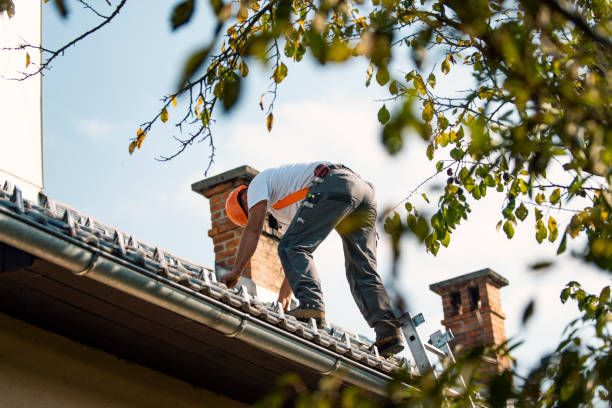 Best Gutter Installation and Roofing  in Manchester, MI