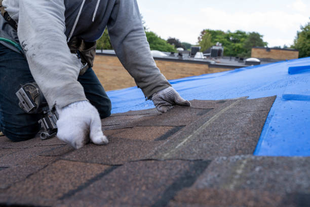 Best Roofing Contractor Near Me  in Manchester, MI