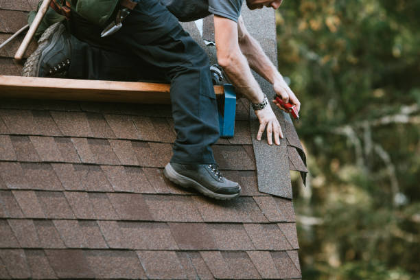 Best New Roof Installation  in Manchester, MI